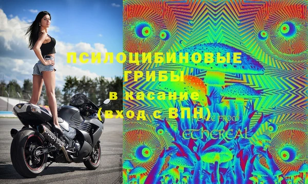 соль ск Нефтекумск