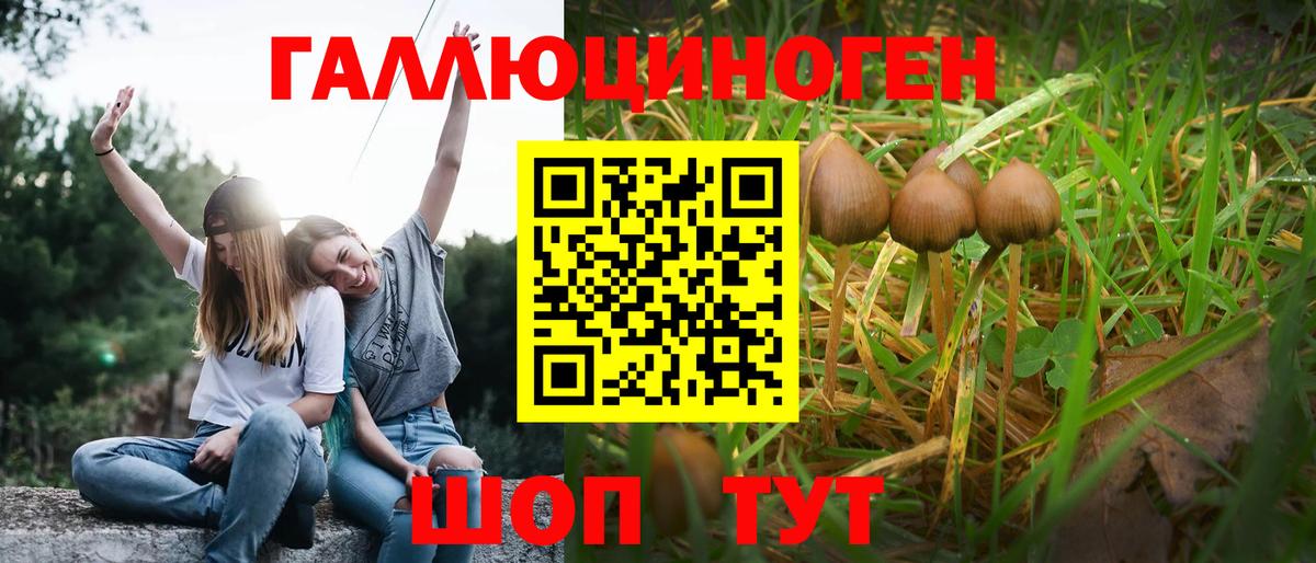 Пермь  Псилоцибиновые грибы мицелий  Вход с VPN 
