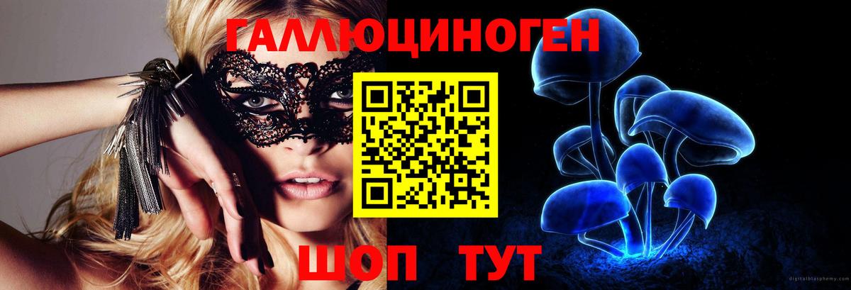Псилоцибиновые грибы Cubensis Пермь